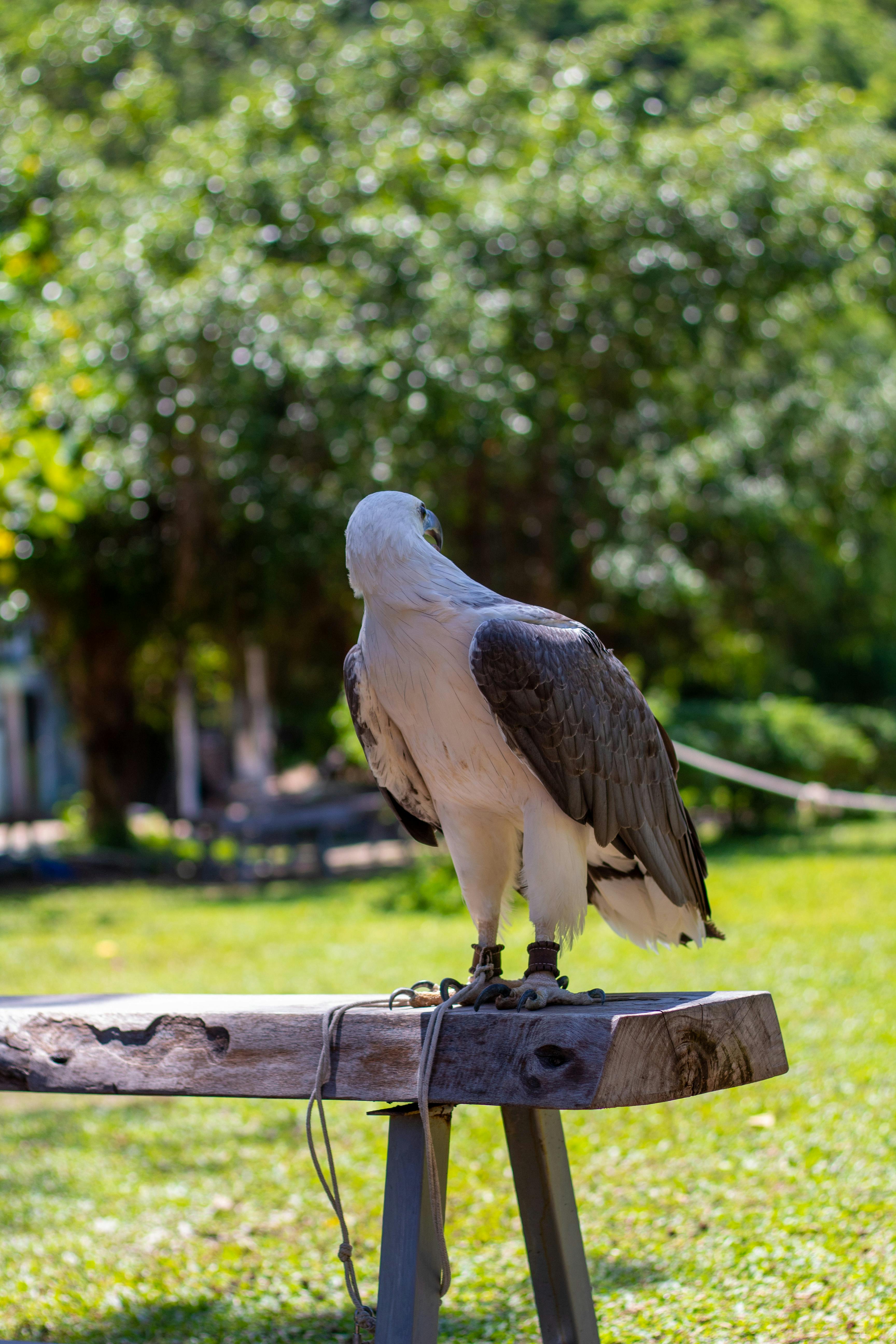 숲속 도로 위 투싼 차량 이미지