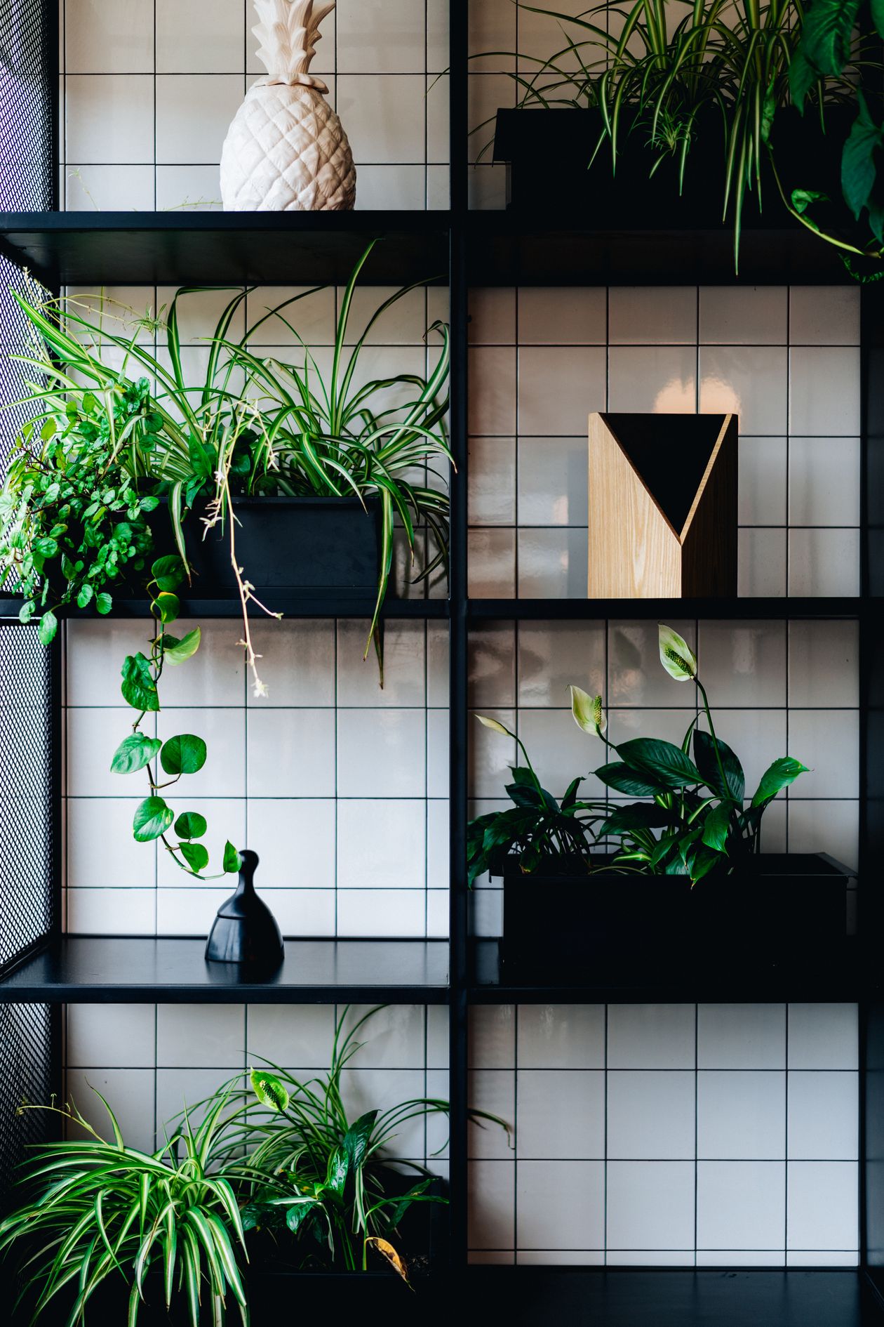 black mesh metal shelving with plants and decor