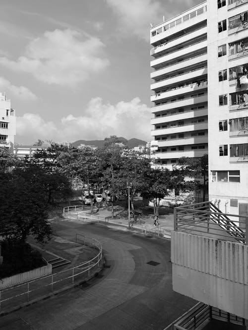 Black and White Picture of a Street and Modern Buildings in City 