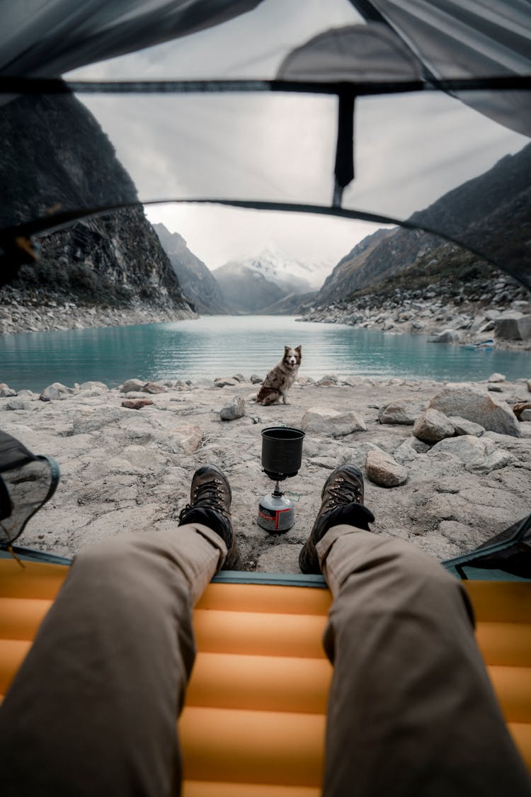 Legs In Tent And Dog Behind