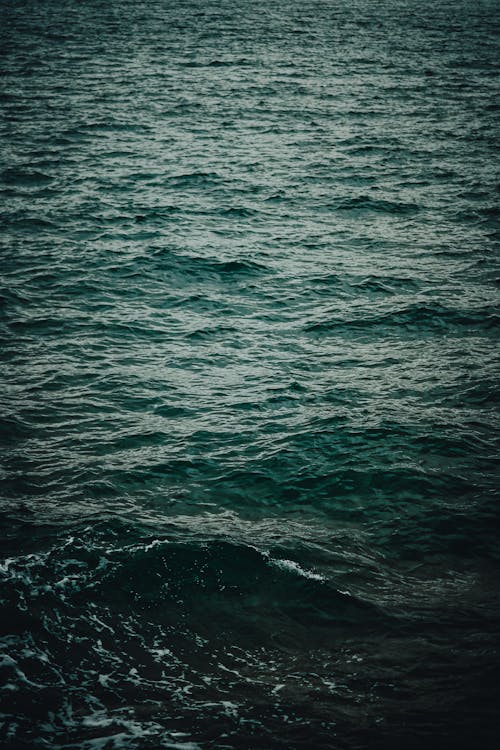 Free View of the Sea Surface  Stock Photo