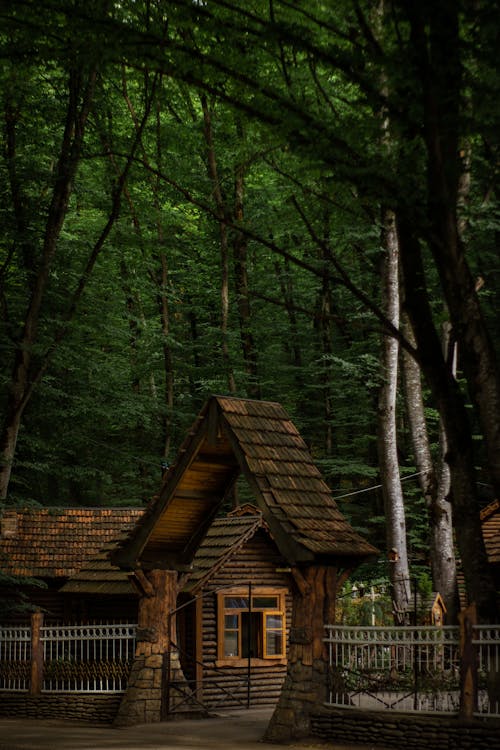 Ảnh lưu trữ miễn phí về bắn dọc, cabin gỗ, căn nhà