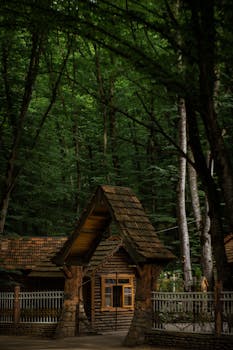 Image by Arzu Ibaeva