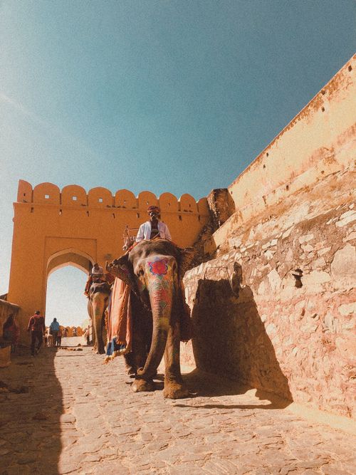 Free Colorful elephant ride through the historic Amer Fort in Jaipur, India under a bright blue sky. Stock Photo