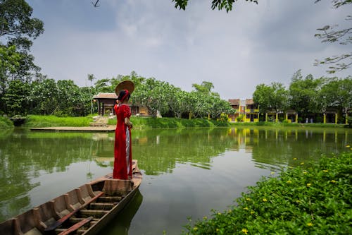 公園, 女人, 後視圖 的 免費圖庫相片