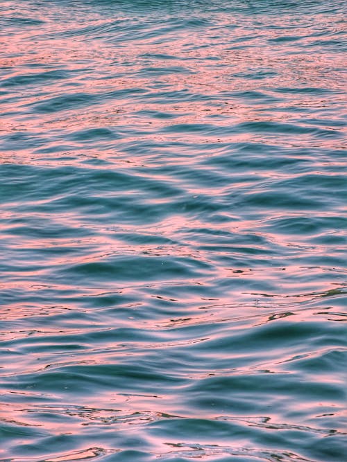 Immagine gratuita di liquidità, mare, natura