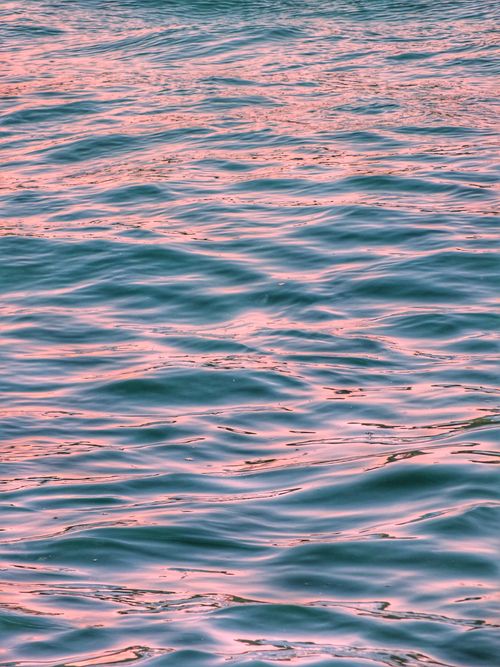Free Tranquil ocean waves reflecting pink hues in a serene, calming seascape. Stock Photo