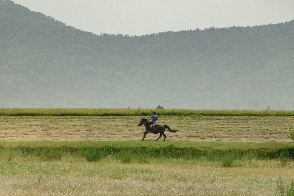 A man enjoying a peaceful horseback ride across lush fields in Zaqatala, Azerbaijan.