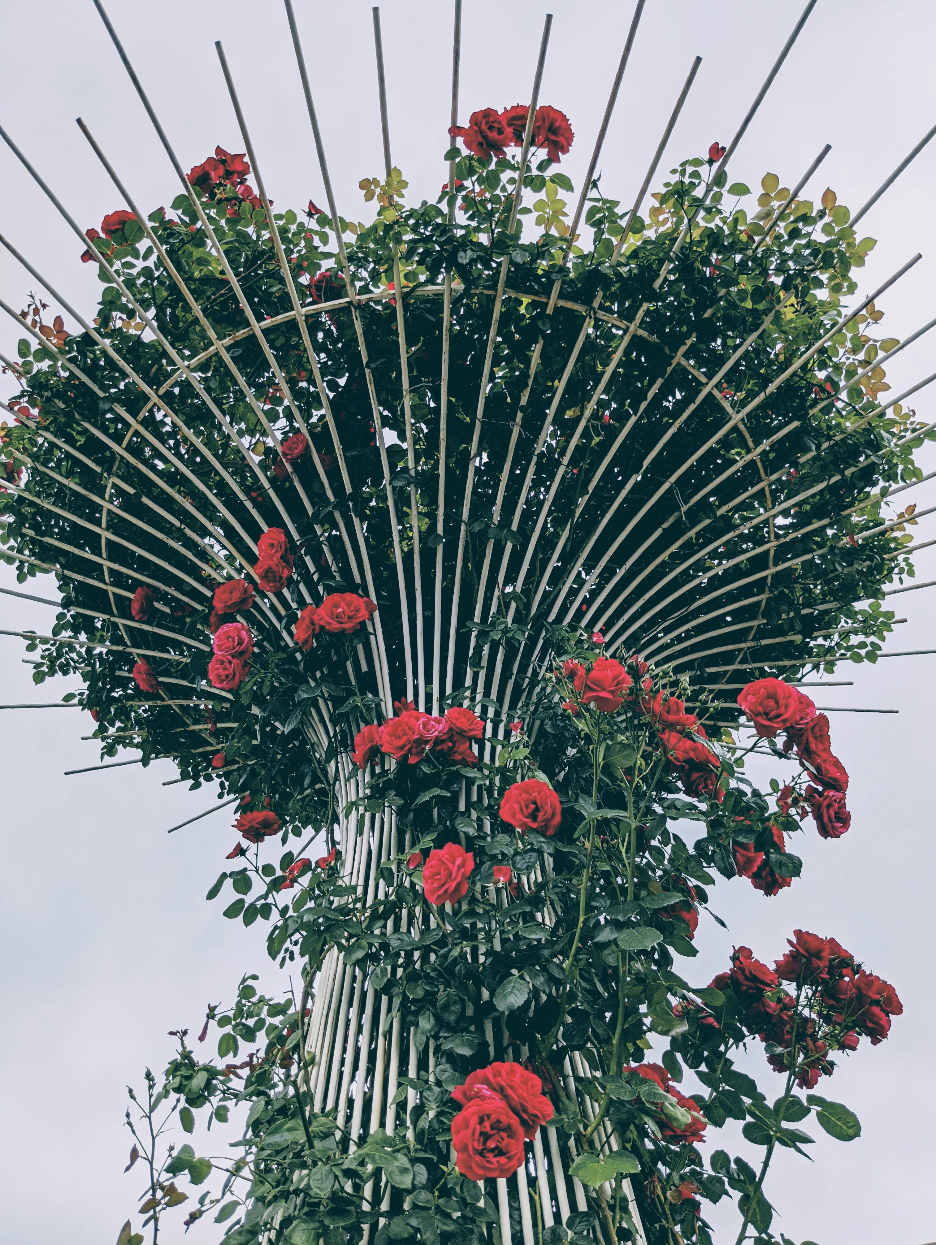 A vertical garden tower adorned with vibrant red roses reaching up to the sky, offering a stunning floral display.