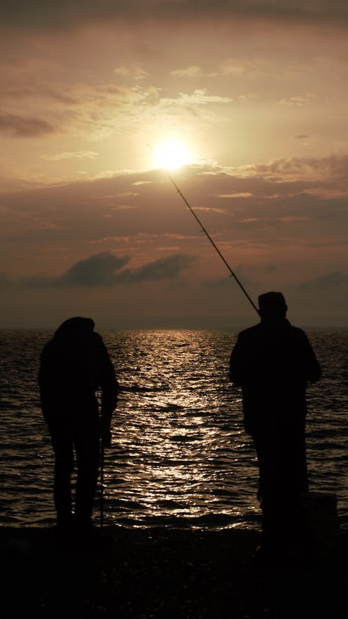 akşam karanlığı, arkadan görünüm, balık tutma yöntemleri içeren Ücretsiz stok fotoğraf
