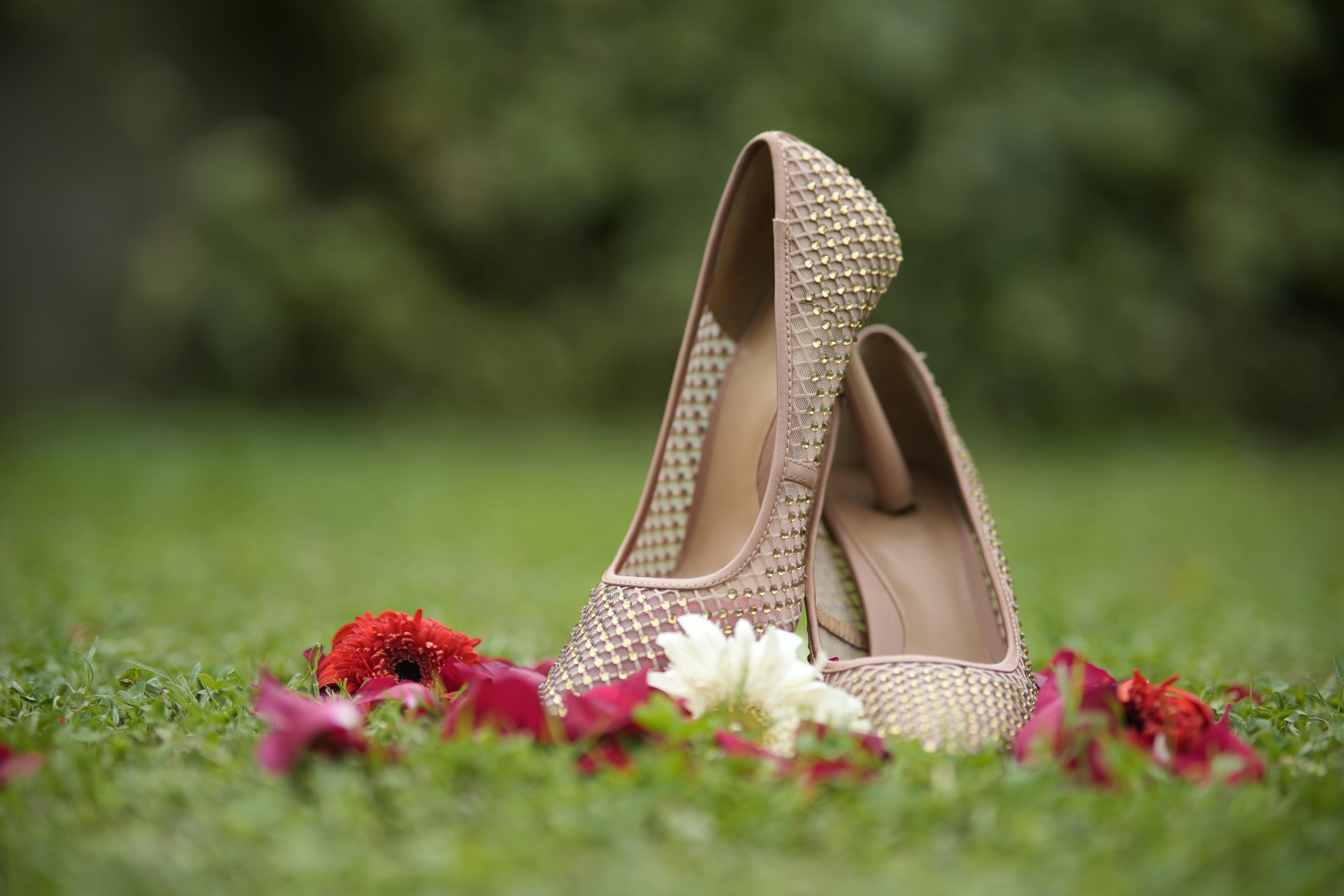 Golden Slipper Hires Lori Rubin as Executive Director — Photo by Syed Qaarif Andrabi on Pexels