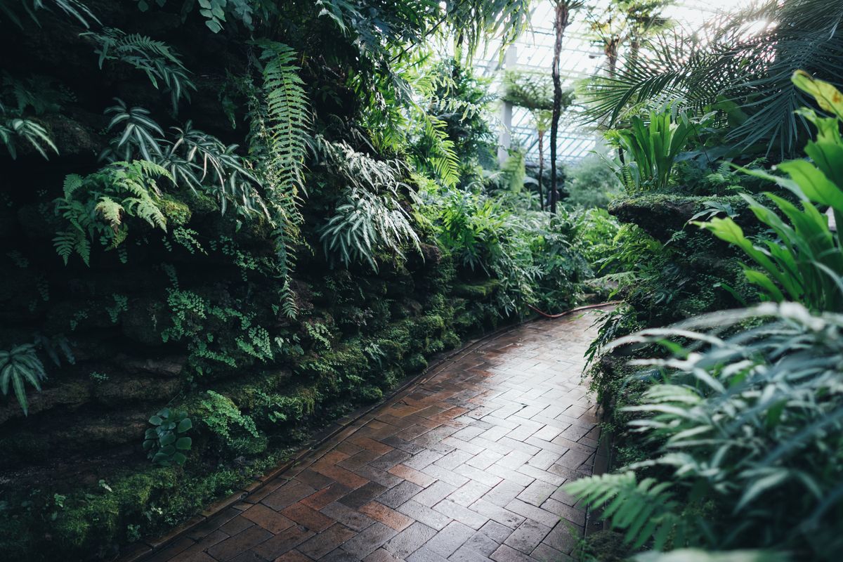 Fresh green borders beside a glasshouse path on a works project