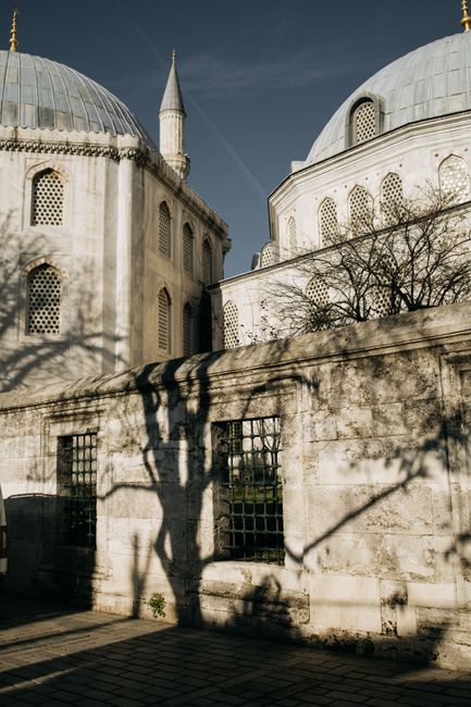 A beautiful mosque with intricate architecture and tree shadows creating a serene atmosphere.