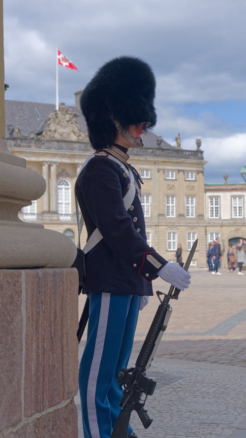 Free stock photo of denmark, guard, royal palace