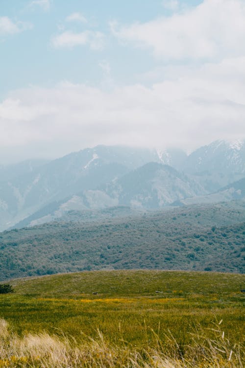 Imagine de stoc gratuită din dealuri, fotografiere verticală, la țară