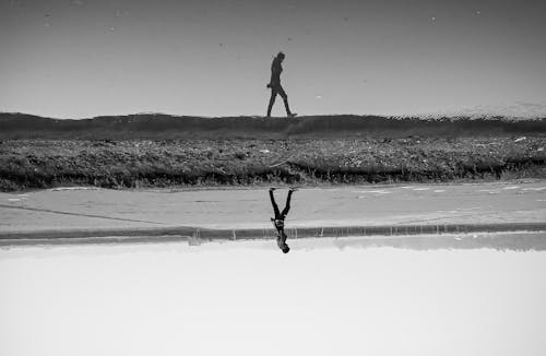 Fotos de stock gratuitas de agua, al revés, Arte