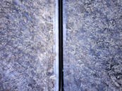 Aerial Shot Of Trees