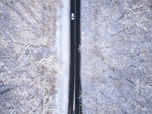 Free Top View Photo of Roadway Surrounded By Trees Stock Photo