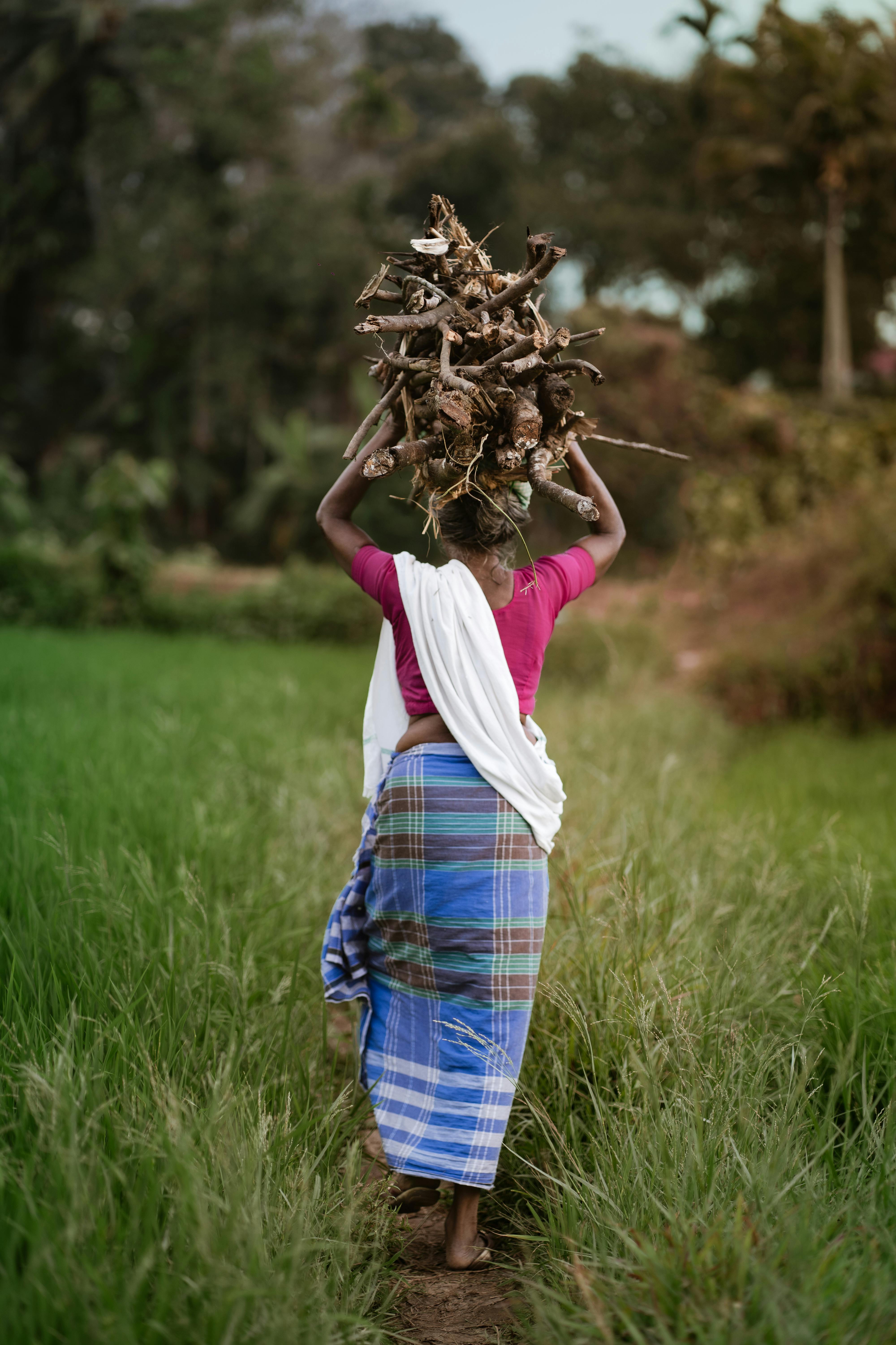 A woman in traditional attire carries firewood on her head in a lush green field in Kerala, India.