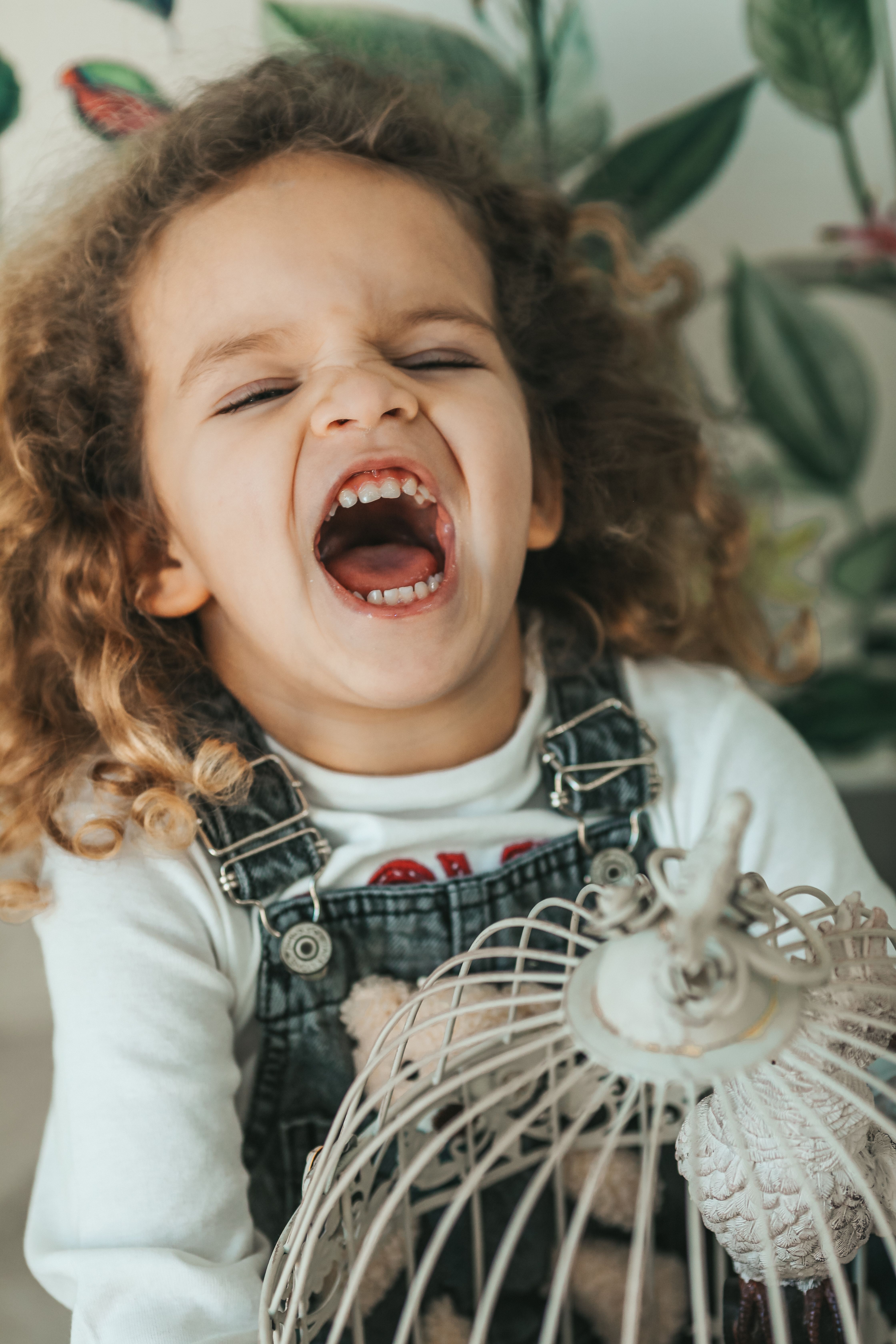 Screaming Little Girl Next to a Birdcage · Free Stock Photo