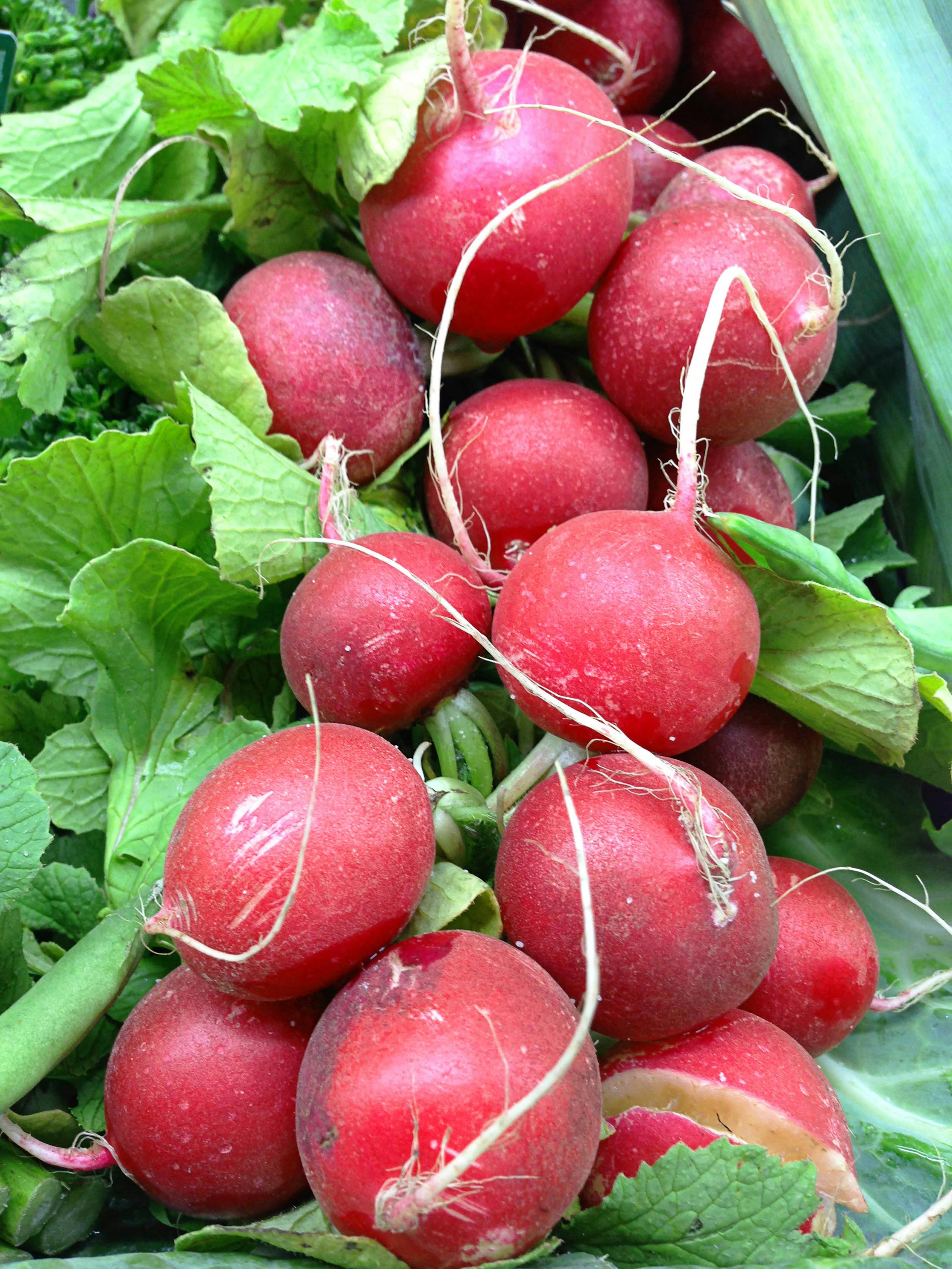 Traditional Indian sweets display