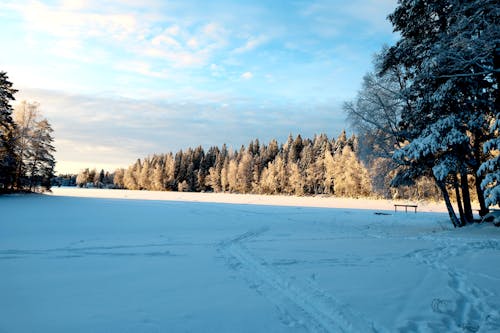 Winter - Frozen Lake