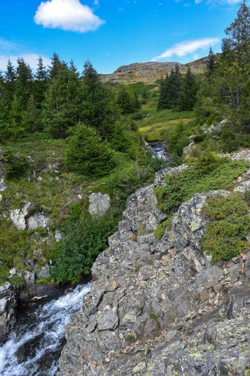 Free A serene mountain stream cascading through a vibrant landscape with pine trees and rocky formations. Stock Photo