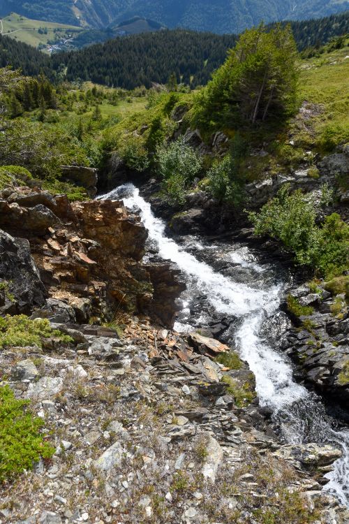 Free Mountain stream running through rocky terrain surrounded by lush greenery under a summer sky. Stock Photo