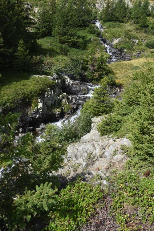 Free A picturesque mountain stream flows through lush vegetation and rock formations under summer sunlight. Stock Photo