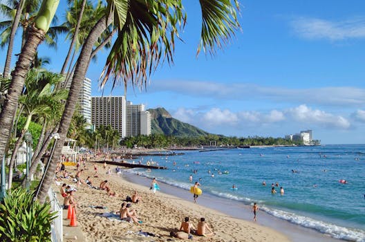 在夏威夷瓦胡岛的热带阳光下，威基基海滩上的人们享受着充满活力的场景