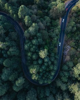 Aerial view of a winding road through lush forest in Mineral del Chico, Mexico. Ideal for travel and nature scenes.
