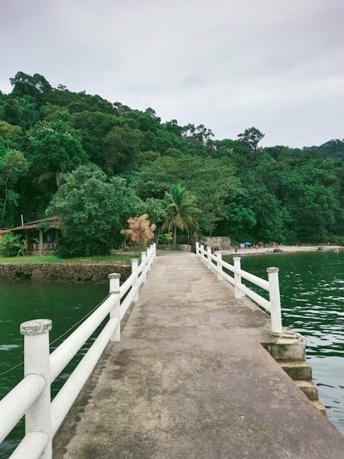 A Concrete Bridge over the Water with the View of a Tropical Forest 