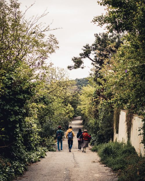 Free People walking down a leafy path in İstanbul, Türkiye, surrounded by lush greenery. Stock Photo