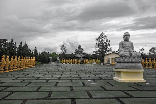 1000, Buda, buda'lar içeren Ücretsiz stok fotoğraf