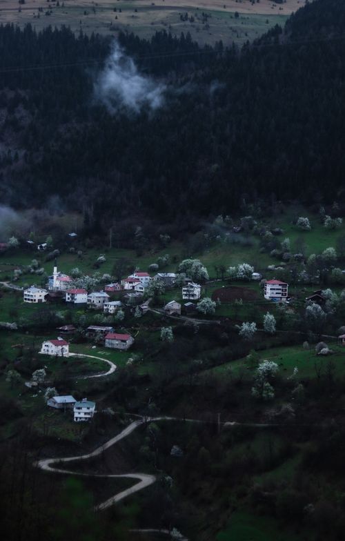 Free Aerial shot of a foggy village with a serpentine road amidst lush greenery at twilight. Stock Photo