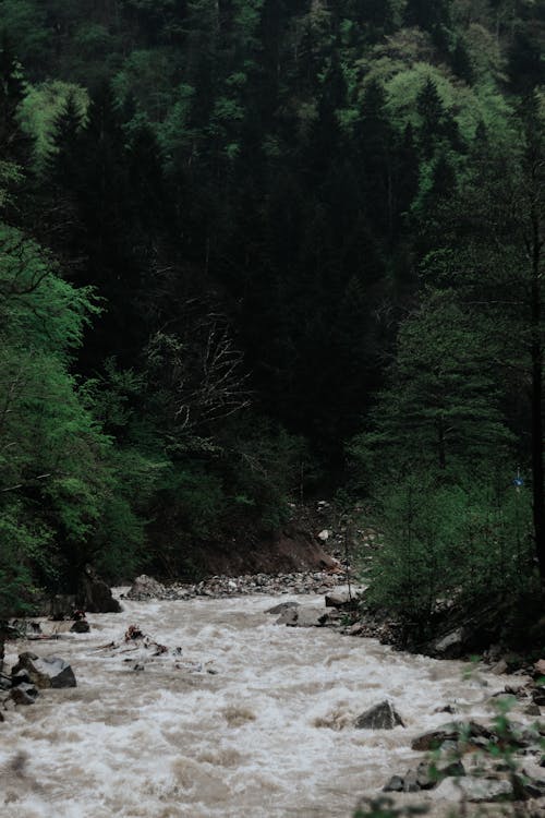 Fotobanka s bezplatnými fotkami na tému beh, cestovať, chladný