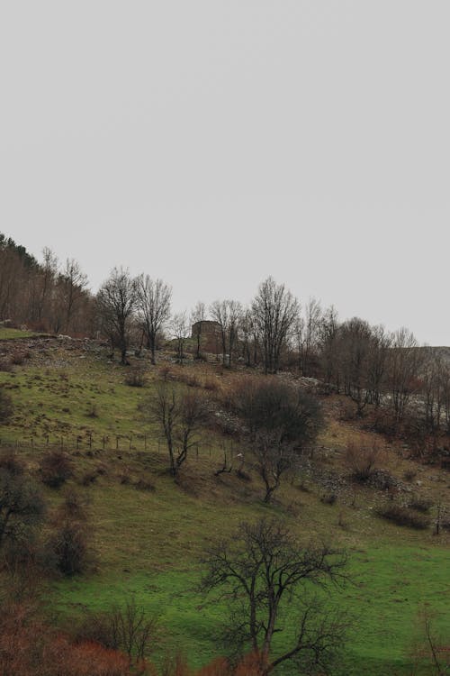 Fotobanka s bezplatnými fotkami na tému malebný, obloha pokrytá oblakmi, pestovanie