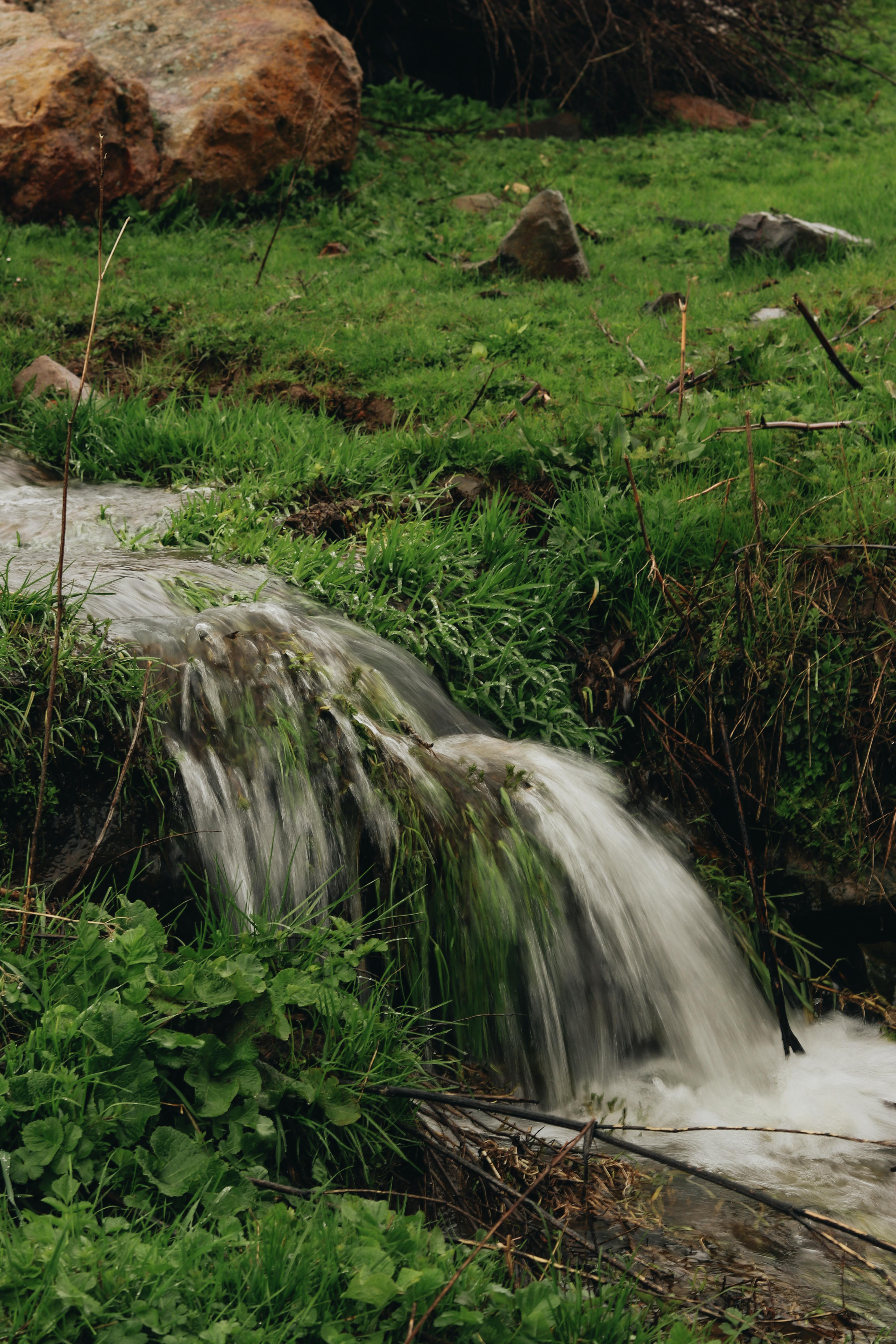 Small Stream Running through a Mountain Glade · Free Stock Photo