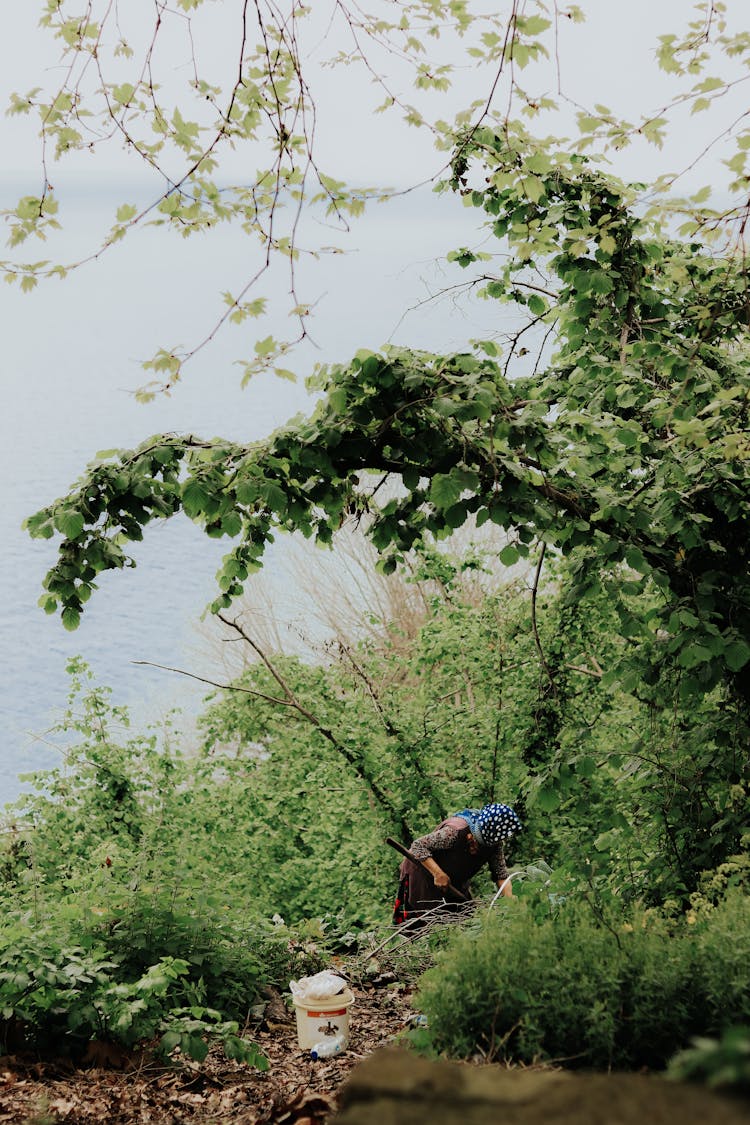 Woman Raking Leaves In Forest Atop Cliff