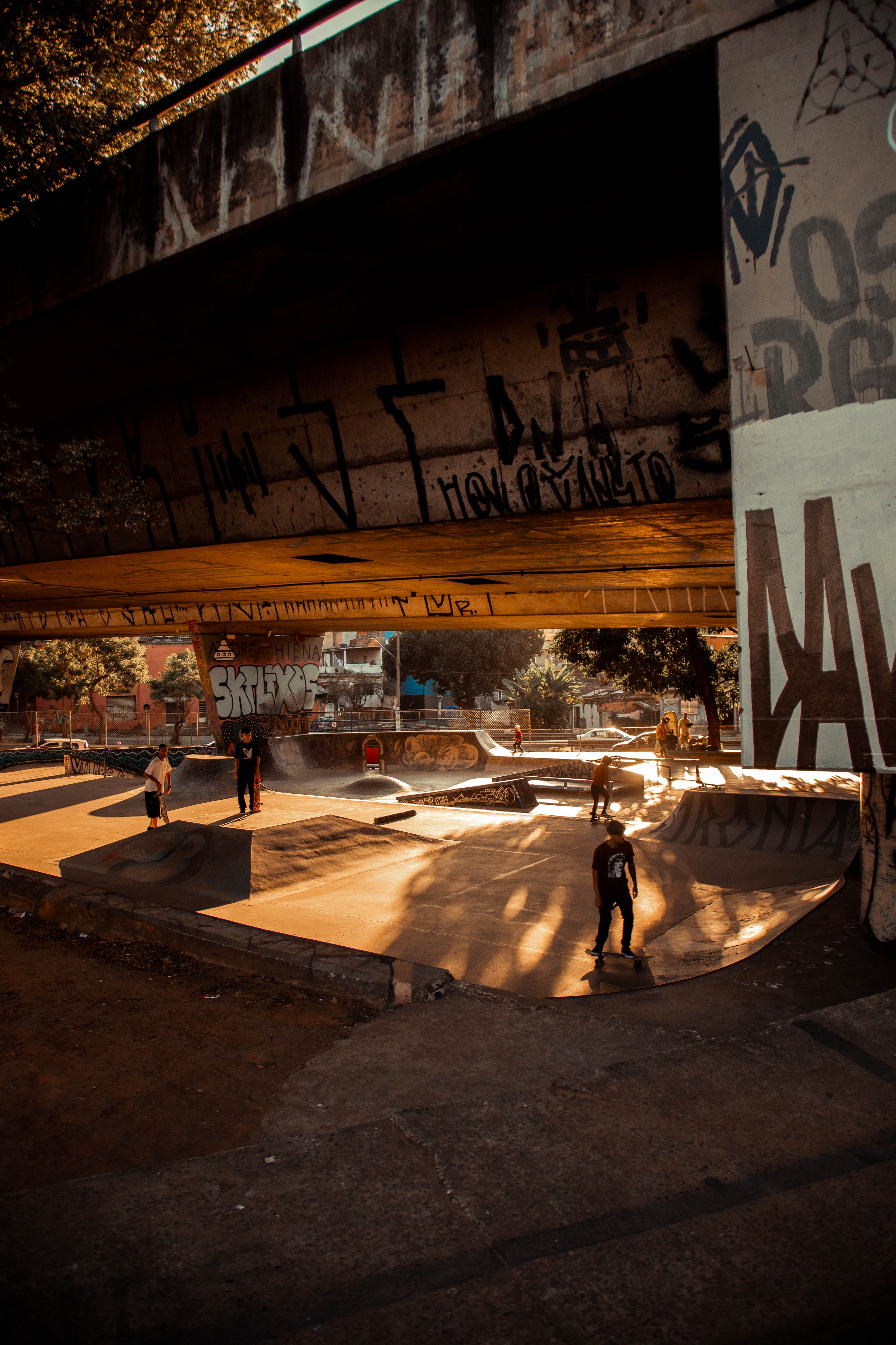 Skateboarding For Newbies Edition 2