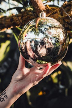 在户外，一只手拿着反光的圣诞小玩意，捕捉周围的风景