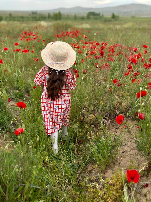 Woman Wearing Wide Brim Hat Walking across Poppy Field