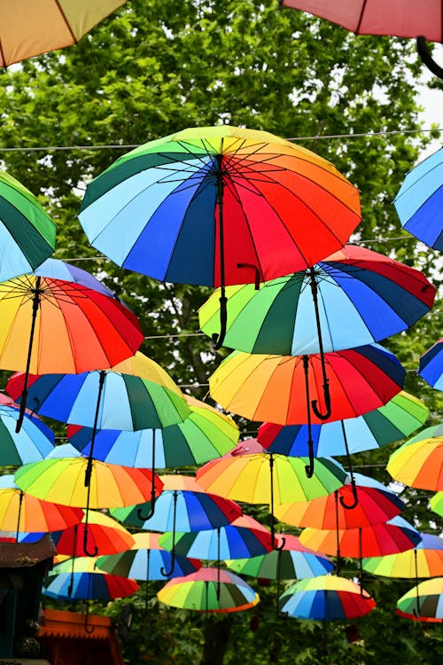 Fotobanka s bezplatnými fotkami na tému dáždniky, farebný, mestský