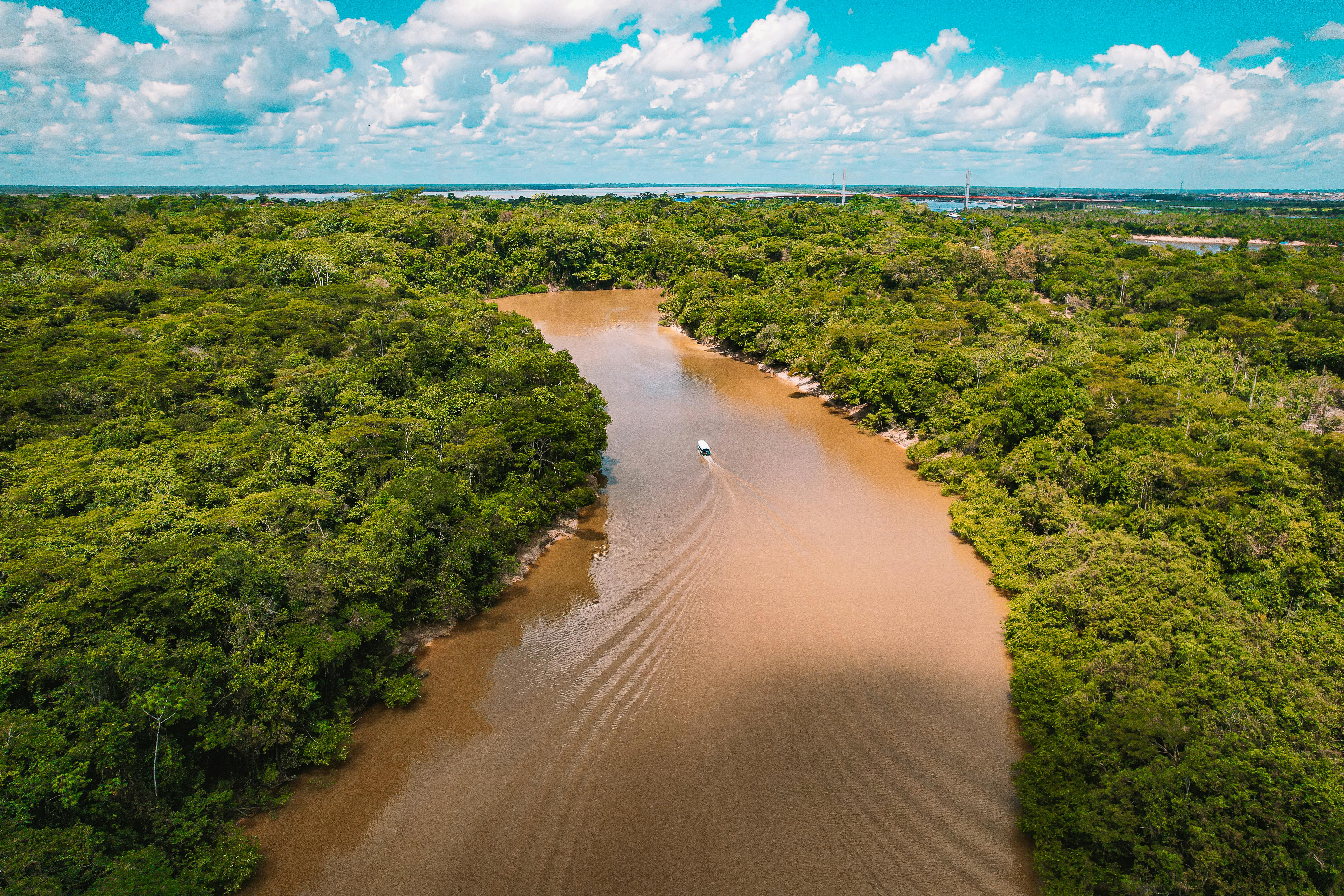 aerial view of muddy river through rainforest