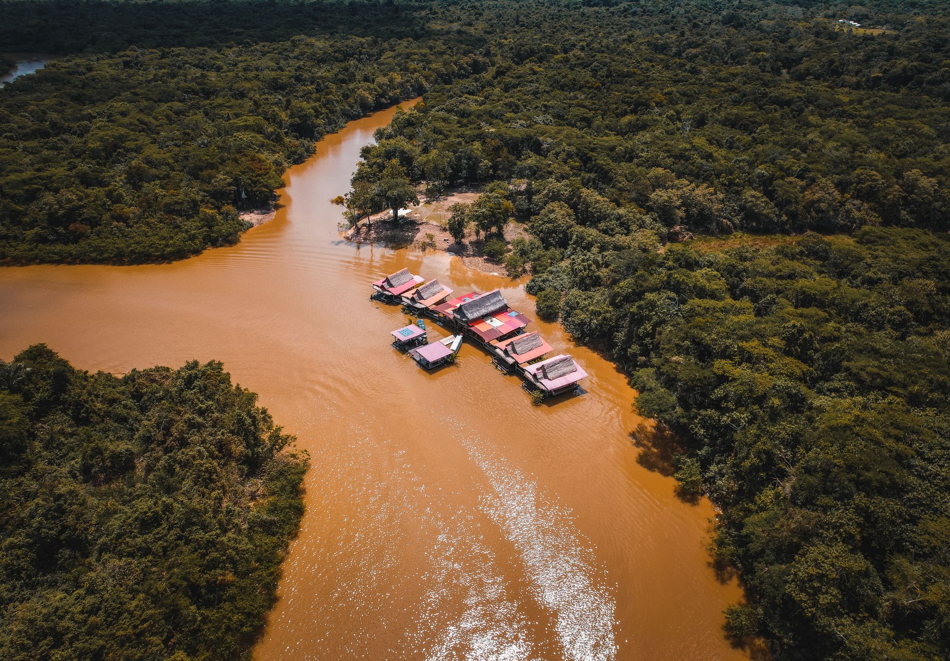 Aerial view of an Amazon River village, reflecting the remote setting in which the microbiome sampling took place.
