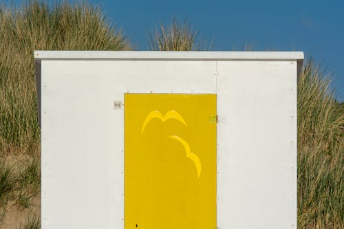 Безкоштовне стокове фото на тему «Будівля, двері, пофарбований»
