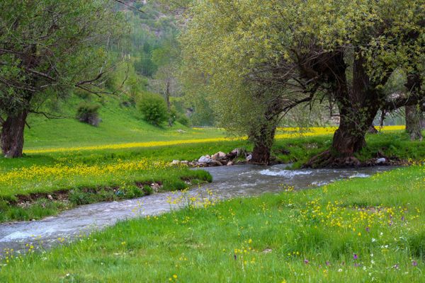 Himalayan Escape with Doodhpathri – 6 Days