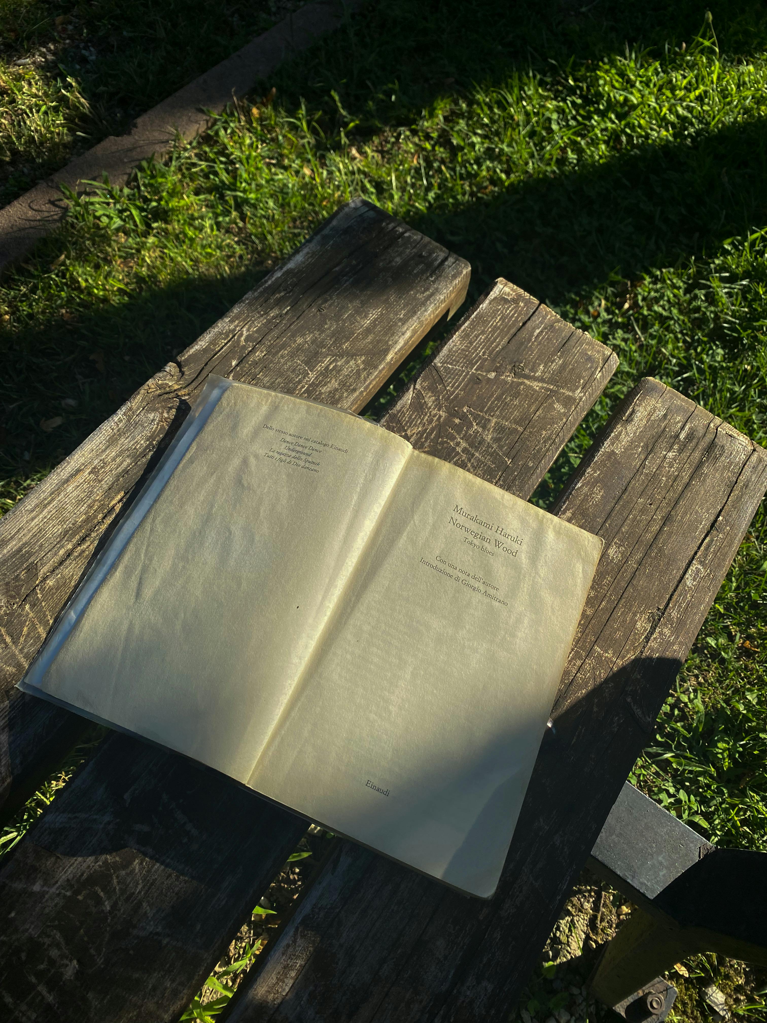 Gratuit Imagine de stoc gratuită din adiere, agrement, ambianță în aer liber Fotografie de stoc