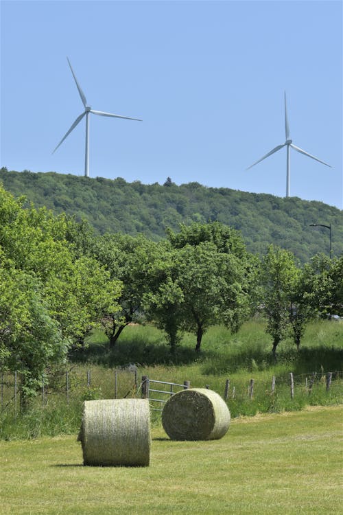Landwirtschaft und ein Windpark