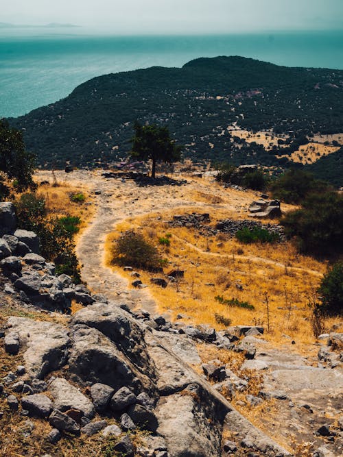 Foto profissional grátis de árvores, calçada, cênico